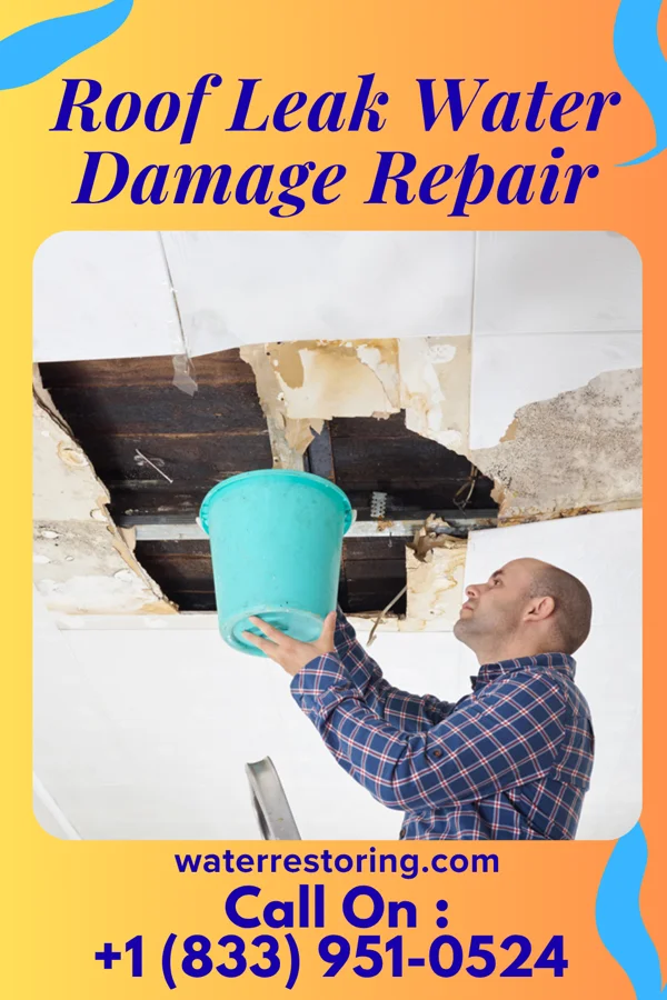 Roof Leak Water Damage Repair in Darrtown, OH