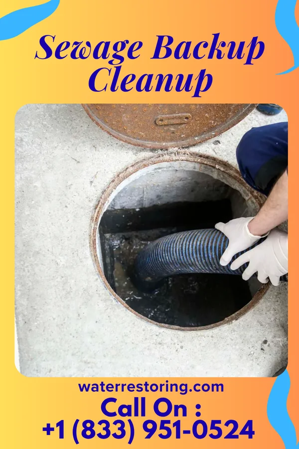 Sewage Backup Cleanup in Darrtown, OH